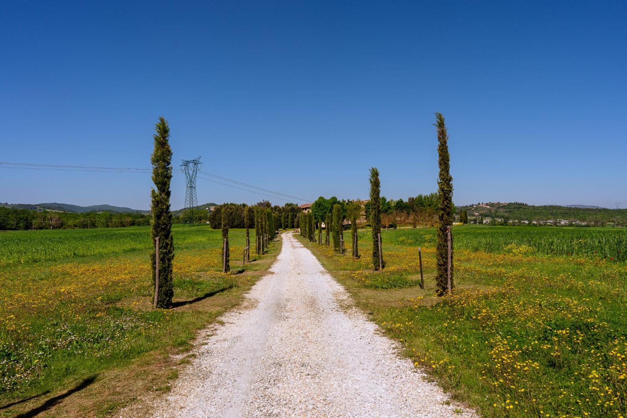 Villa Agriturismo Le Beringhe Colle di Val d'Elsa Exterior foto